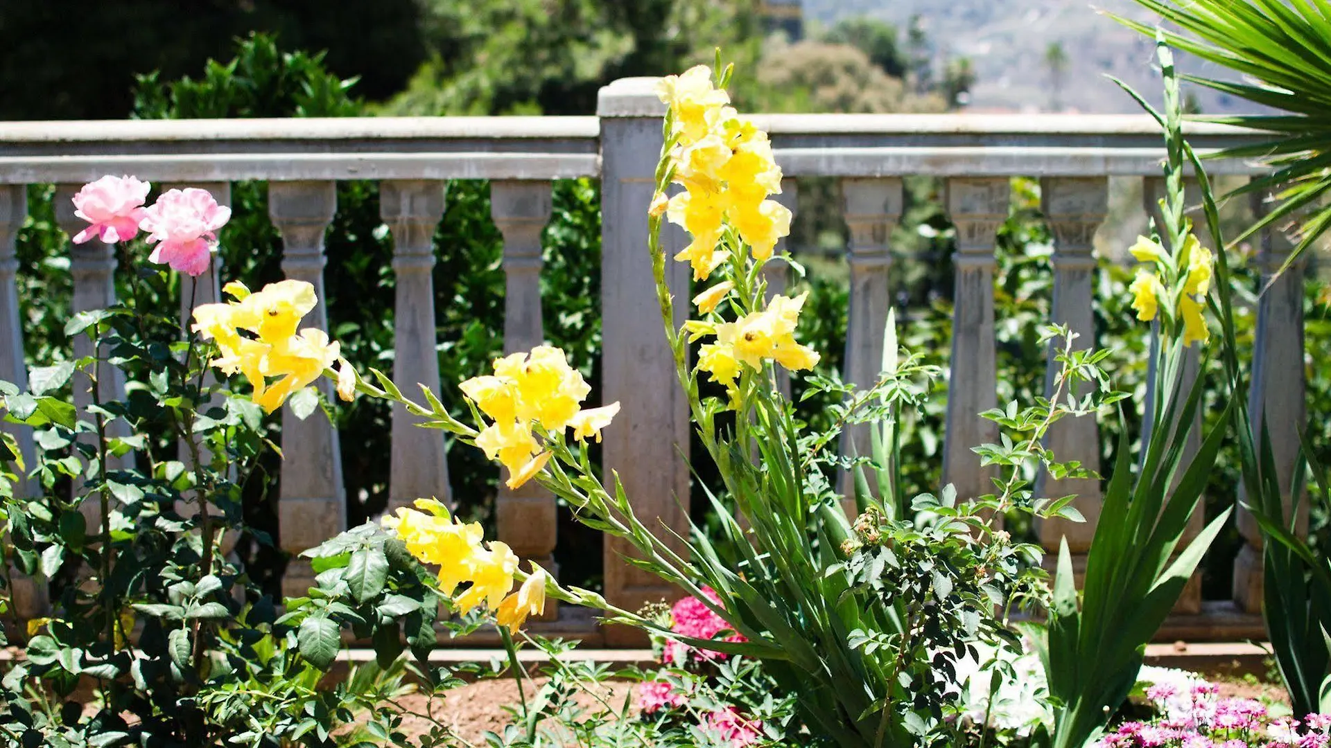 Rk El Cabo Cottage Santa Brigida  Santa Brigida (Gran Canaria)
